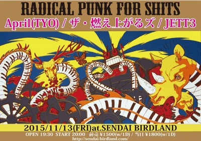 RADICAL PUNK FOR SHITS!!