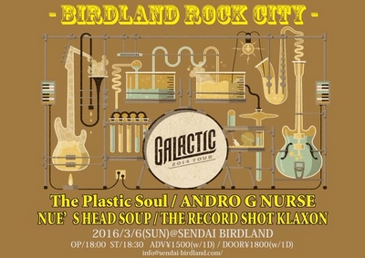 BIRDLAND ROCK CITY