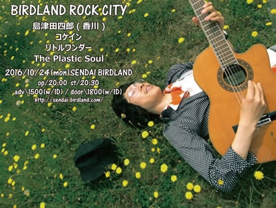 BIRDLAND ROCK CITY