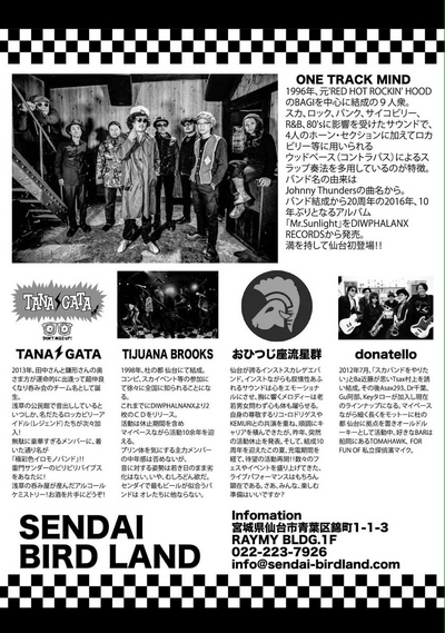 CATCH THIS BEAT vol.3