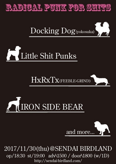 RADICAL PUNK FOR SHITS!!