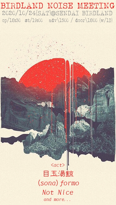 BIRDLAND NOISE MEETING