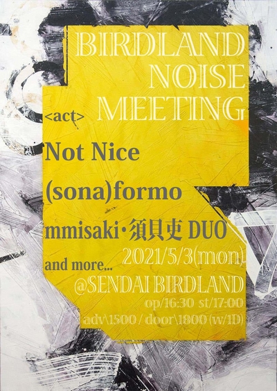 BIRDLAND NOISE MEETING